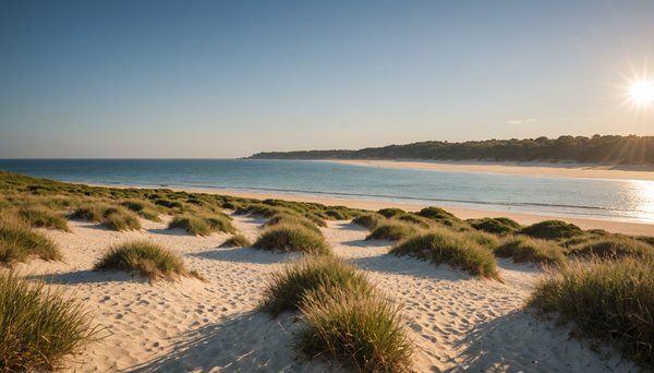 Vacances nature sur l'île de ré : immersion au camping l'ile blanche